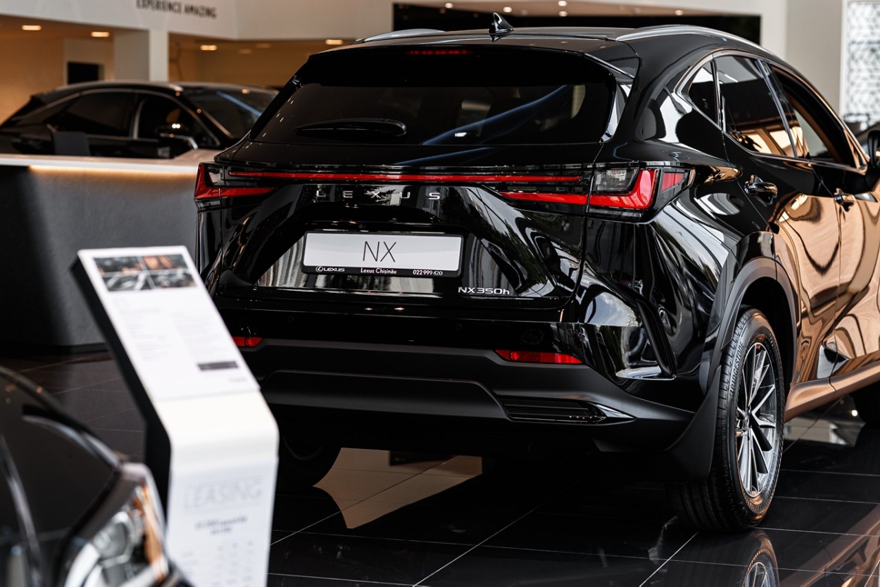 Rear view of Lexus UX driving on a road